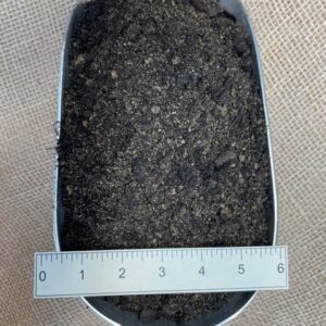 Raised Garden Bed Mix