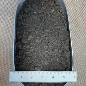 Screened Topsoil