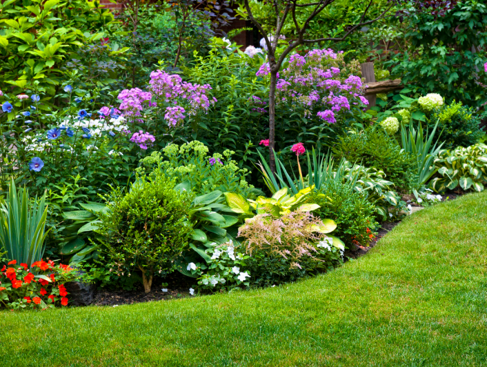 Bed Care Barnes Nursery